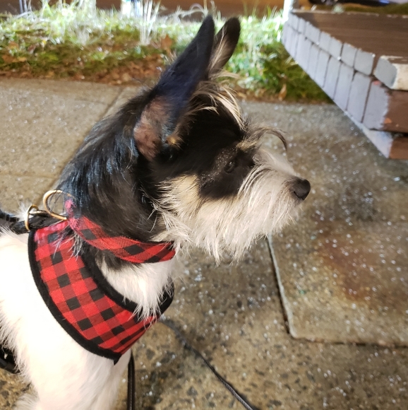 Meet your Posher Top Rated + A - Picture 15 of 16